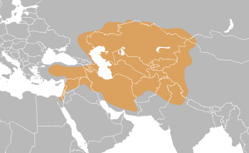 Irano-Turanian region